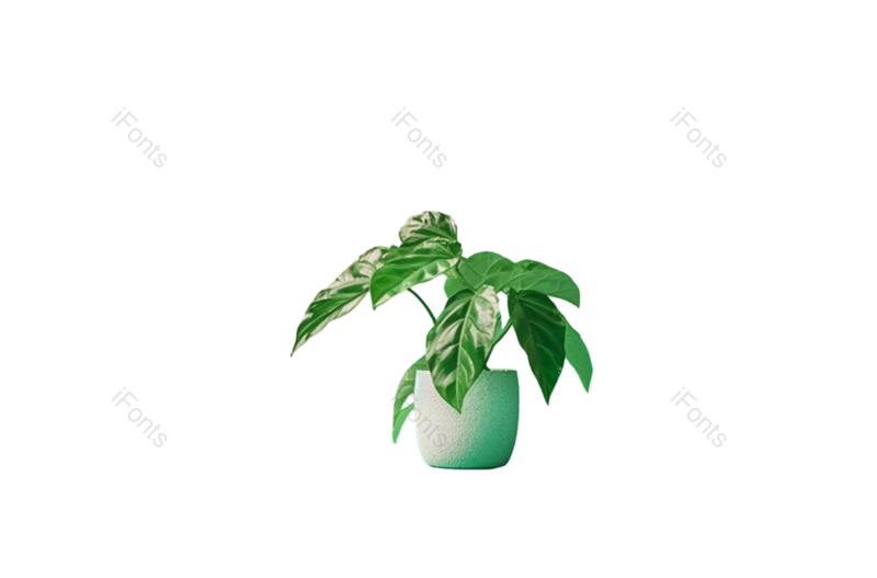 叶子图片,装饰元素,花纹PNG,清新免抠素材